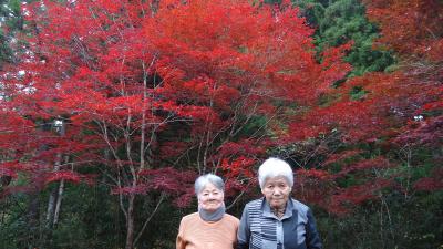 花園神社の紅葉もきれいです♪