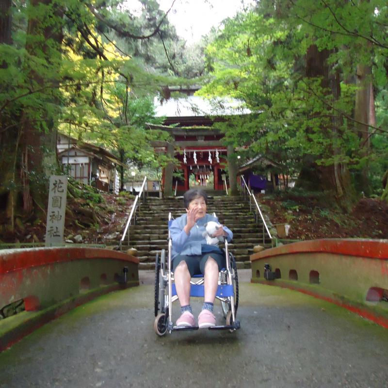 花園神社の紅葉もきれいです♪