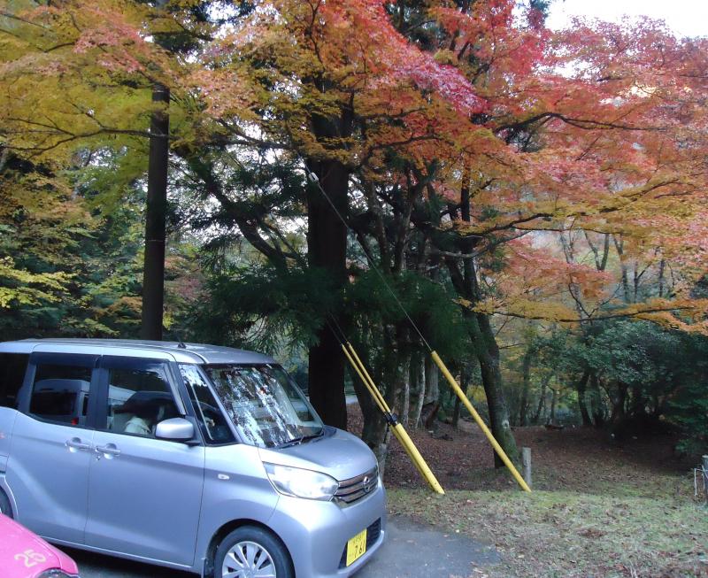 高萩市花貫渓谷付近の紅葉が見頃です♪