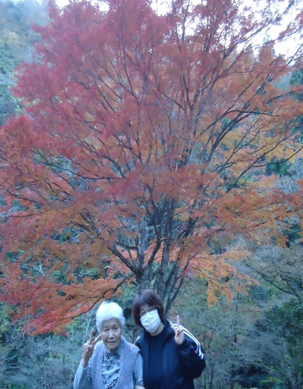 高萩市花貫渓谷付近の紅葉が見頃です♪