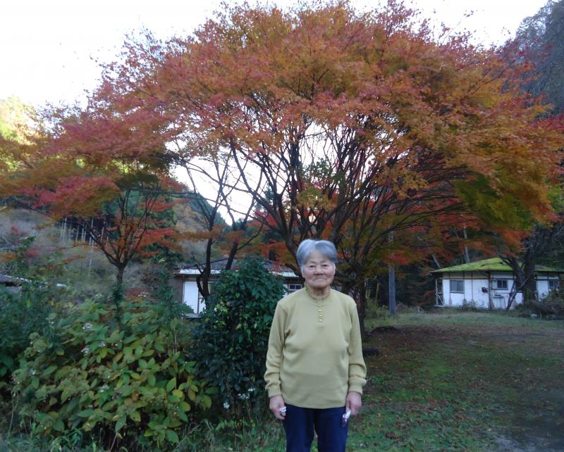高萩市花貫渓谷付近の紅葉が見頃です♪