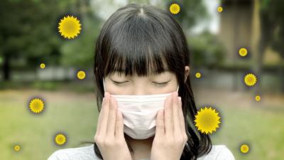 花粉の飛散が始まっています